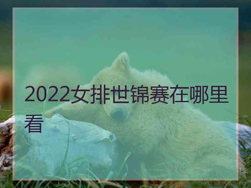 2022女排世锦赛在哪里看