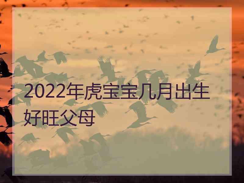 2022年虎宝宝几月出生好旺父母