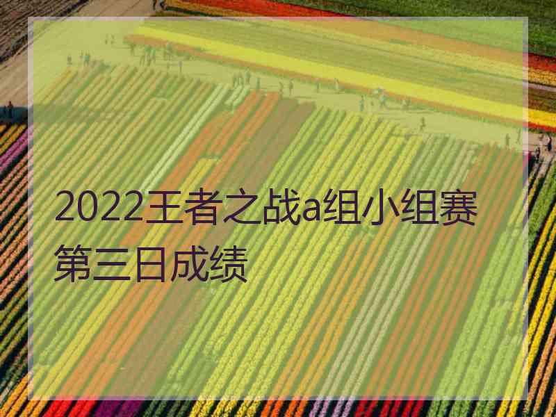 2022王者之战a组小组赛第三日成绩