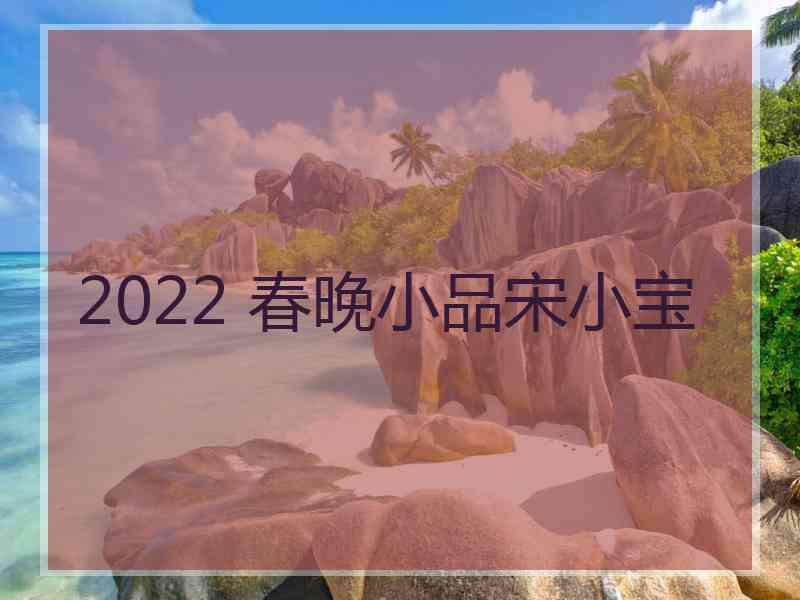 2022 春晚小品宋小宝