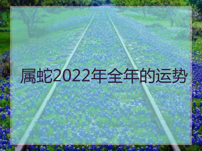 属蛇2022年全年的运势