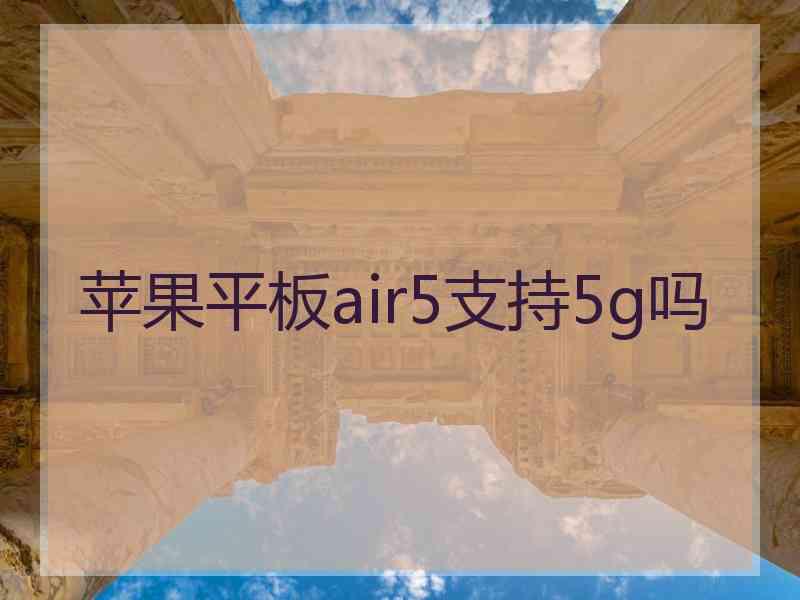 苹果平板air5支持5g吗