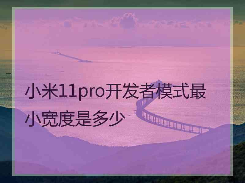 小米11pro开发者模式最小宽度是多少