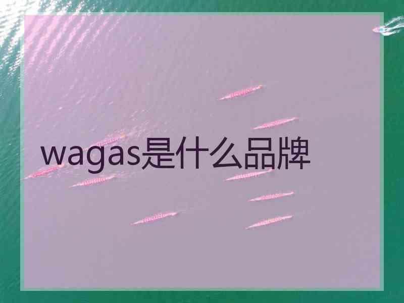 wagas是什么品牌