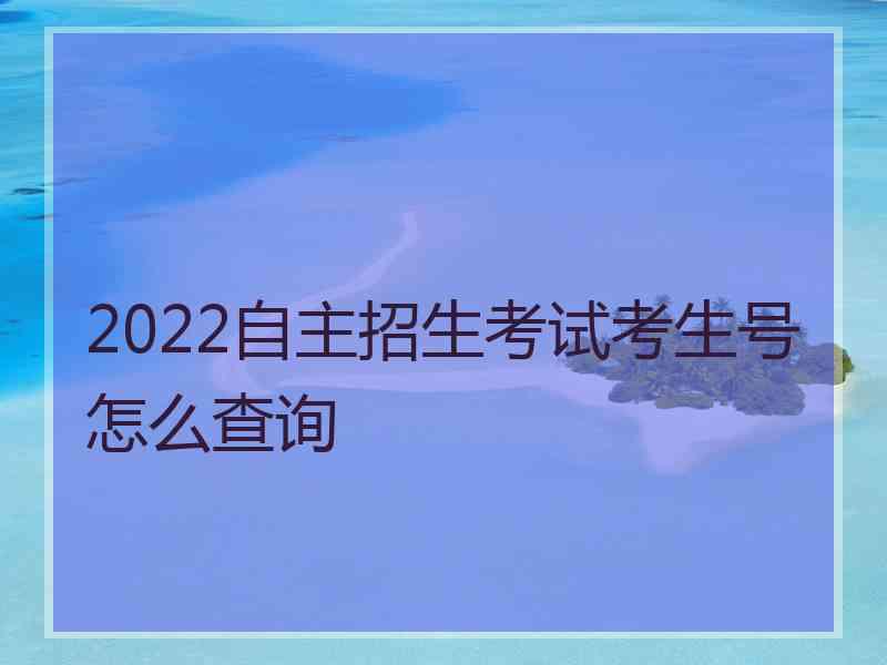 2022自主招生考试考生号怎么查询