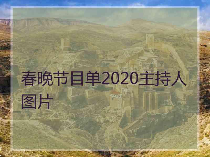 春晚节目单2020主持人图片