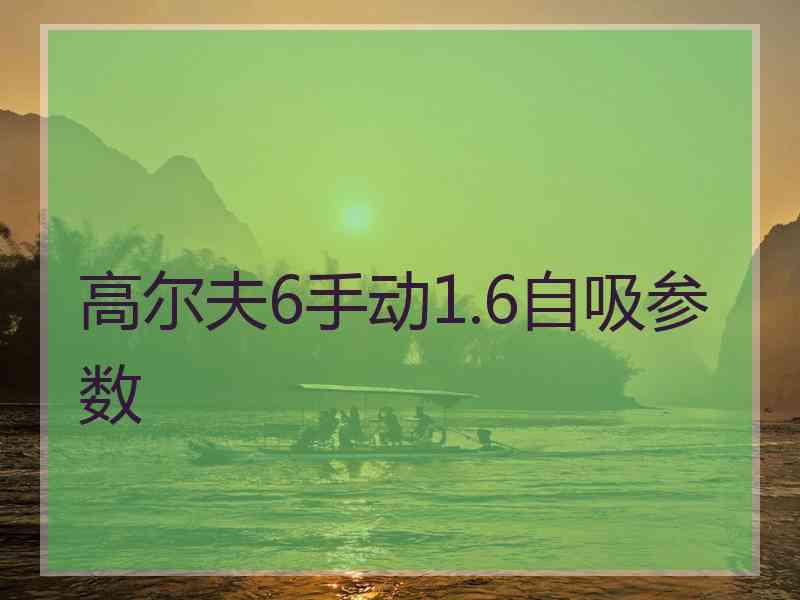 高尔夫6手动1.6自吸参数