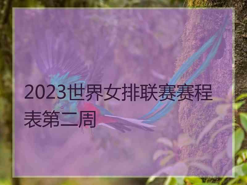 2023世界女排联赛赛程表第二周