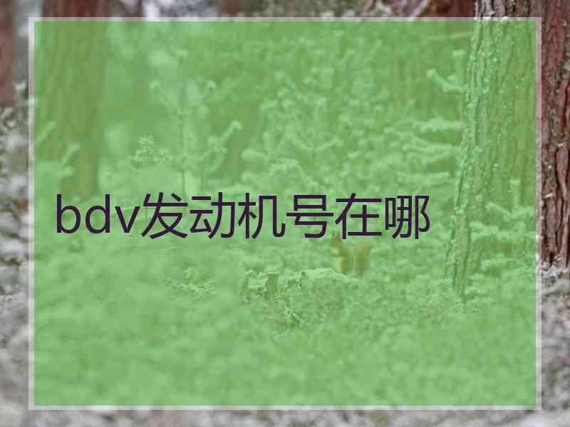 bdv发动机号在哪