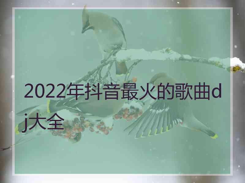 2022年抖音最火的歌曲dj大全