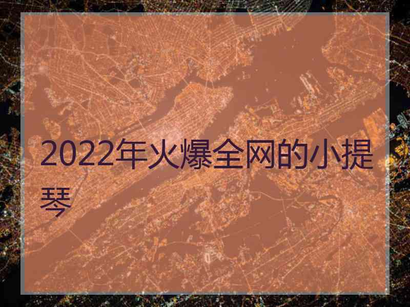 2022年火爆全网的小提琴