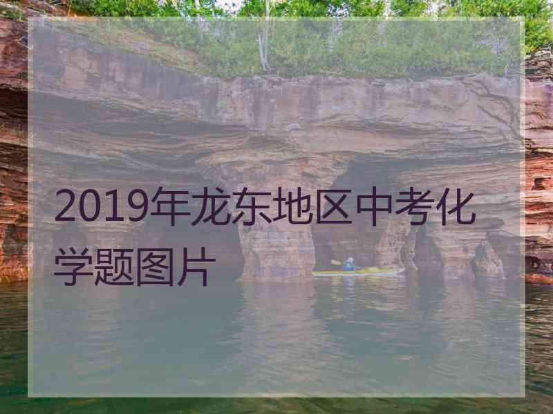 2019年龙东地区中考化学题图片