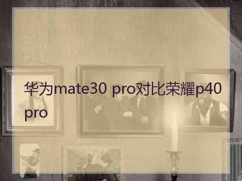 华为mate30 pro对比荣耀p40 pro