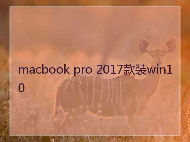 macbook pro 2017款装win10