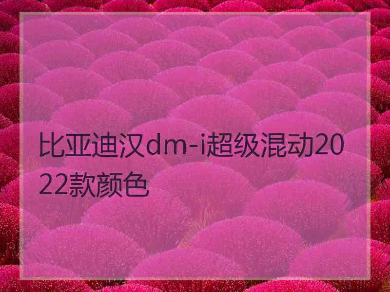 比亚迪汉dm-i超级混动2022款颜色