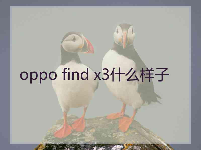 oppo find x3什么样子