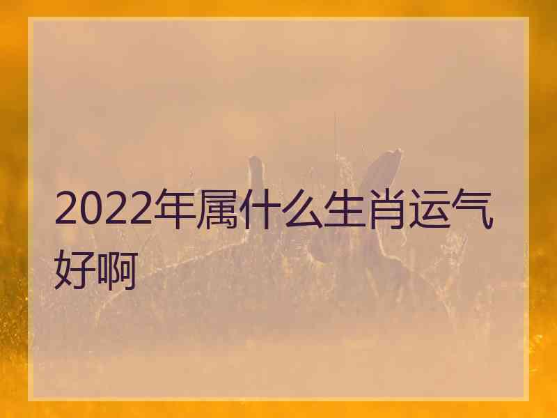 2022年属什么生肖运气好啊