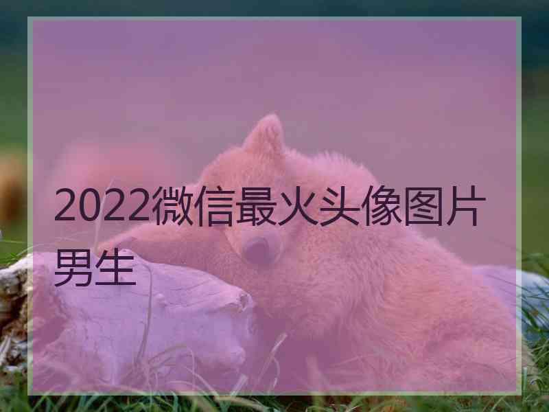 2022微信最火头像图片男生