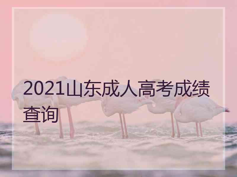 2021山东成人高考成绩查询