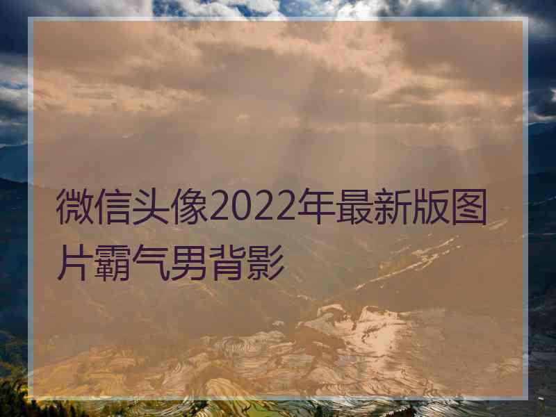 微信头像2022年最新版图片霸气男背影