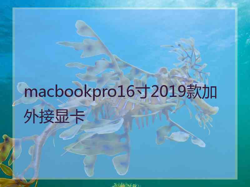 macbookpro16寸2019款加外接显卡