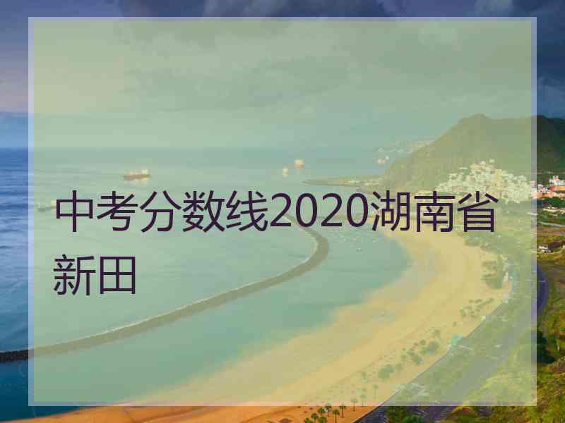 中考分数线2020湖南省新田