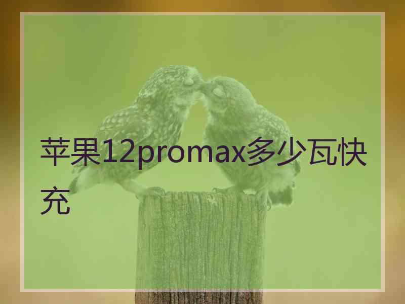 苹果12promax多少瓦快充