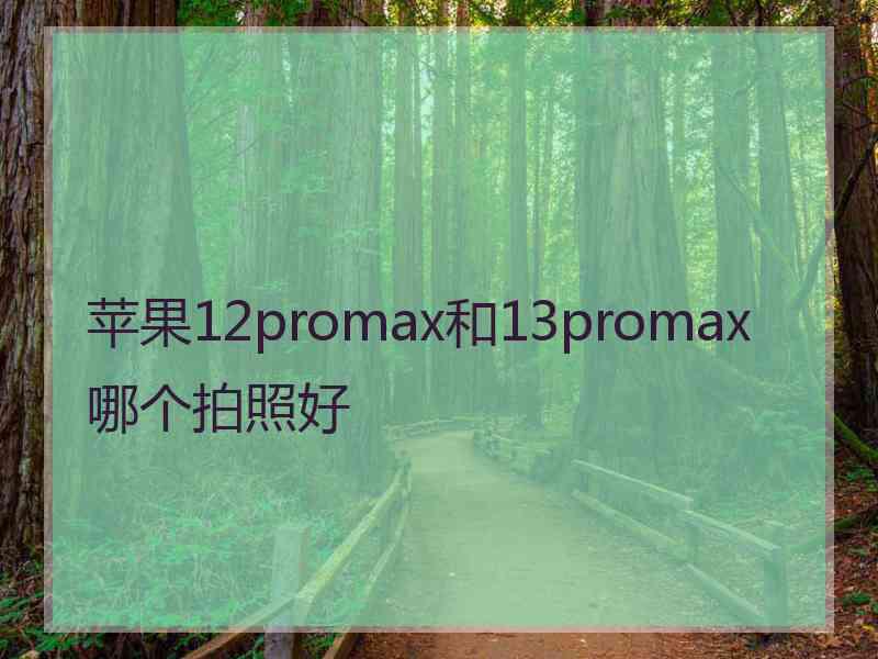 苹果12promax和13promax哪个拍照好