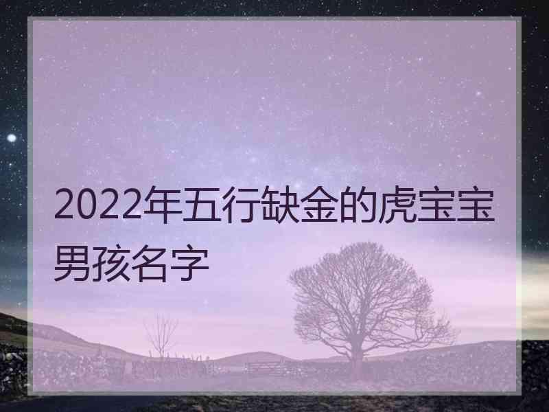 2022年五行缺金的虎宝宝男孩名字