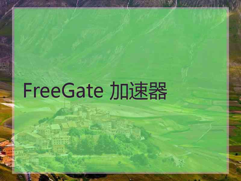 FreeGate 加速器