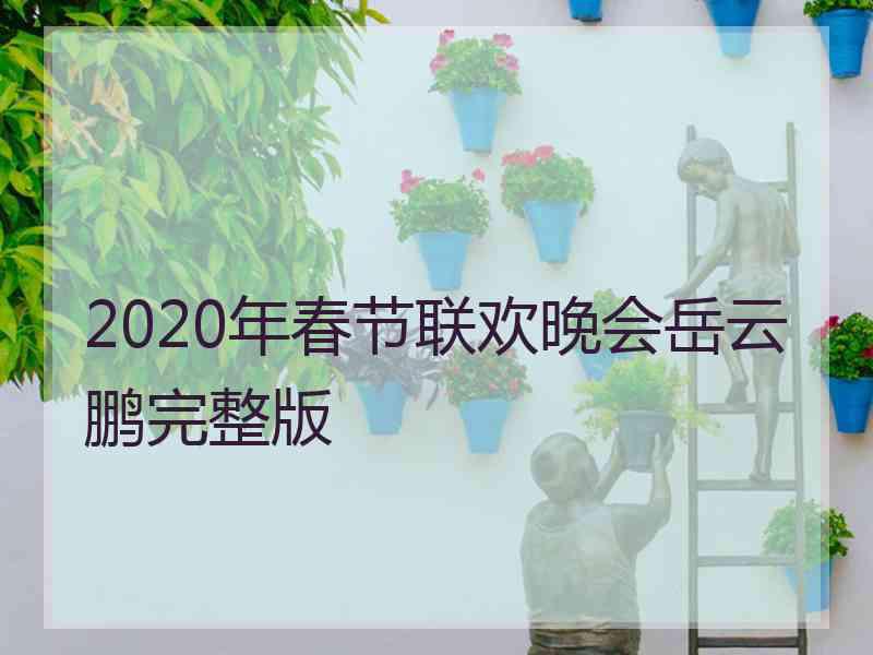 2020年春节联欢晚会岳云鹏完整版