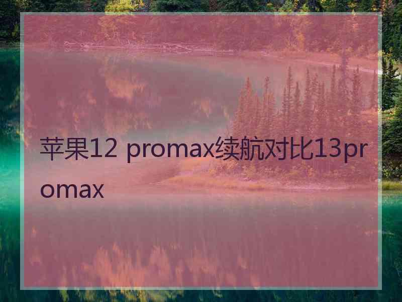 苹果12 promax续航对比13promax