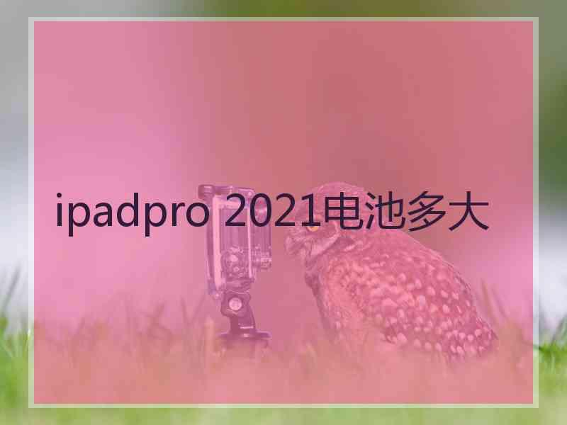 ipadpro 2021电池多大