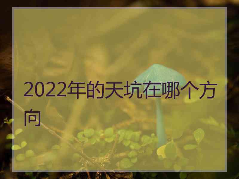 2022年的天坑在哪个方向