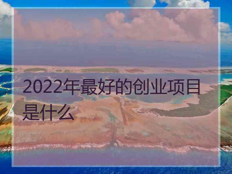 2022年最好的创业项目是什么