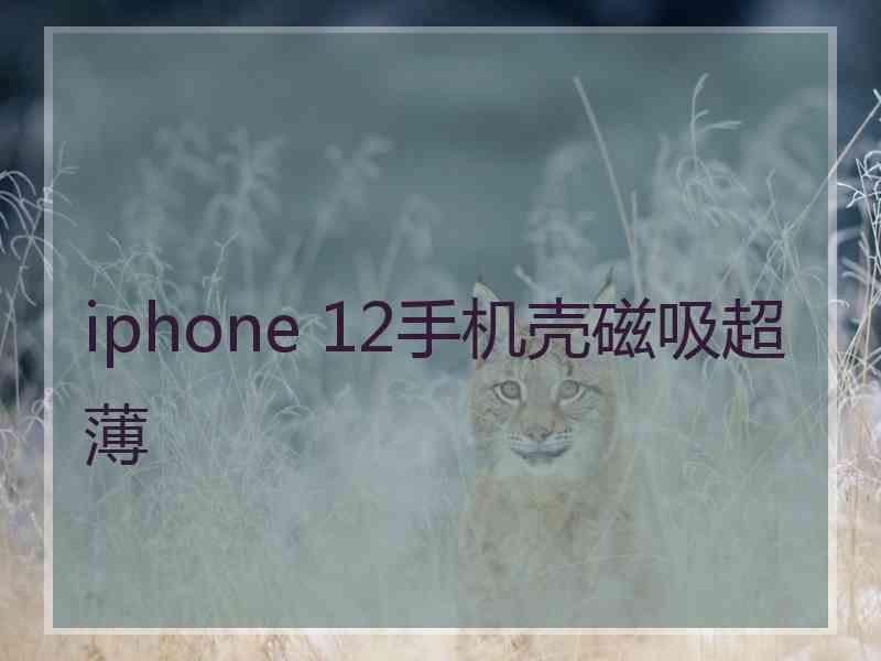 iphone 12手机壳磁吸超薄