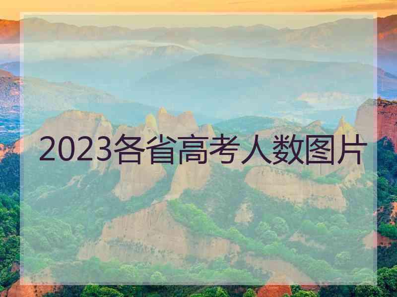 2023各省高考人数图片