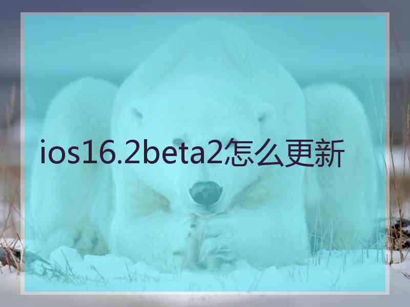 ios16.2beta2怎么更新