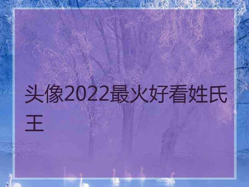 头像2022最火好看姓氏王