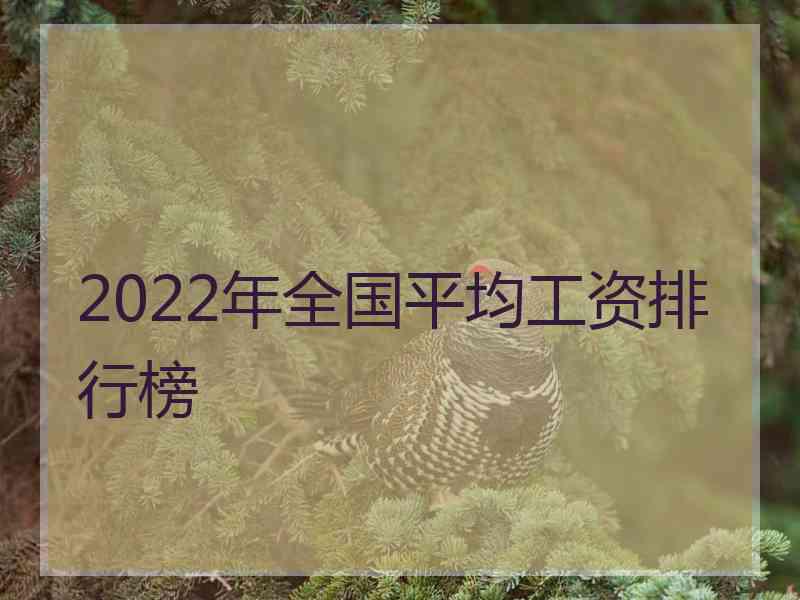 2022年全国平均工资排行榜