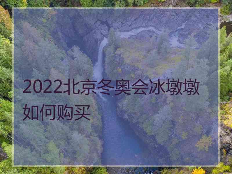 2022北京冬奥会冰墩墩如何购买