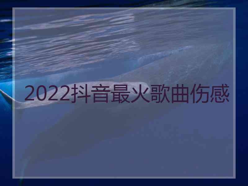 2022抖音最火歌曲伤感