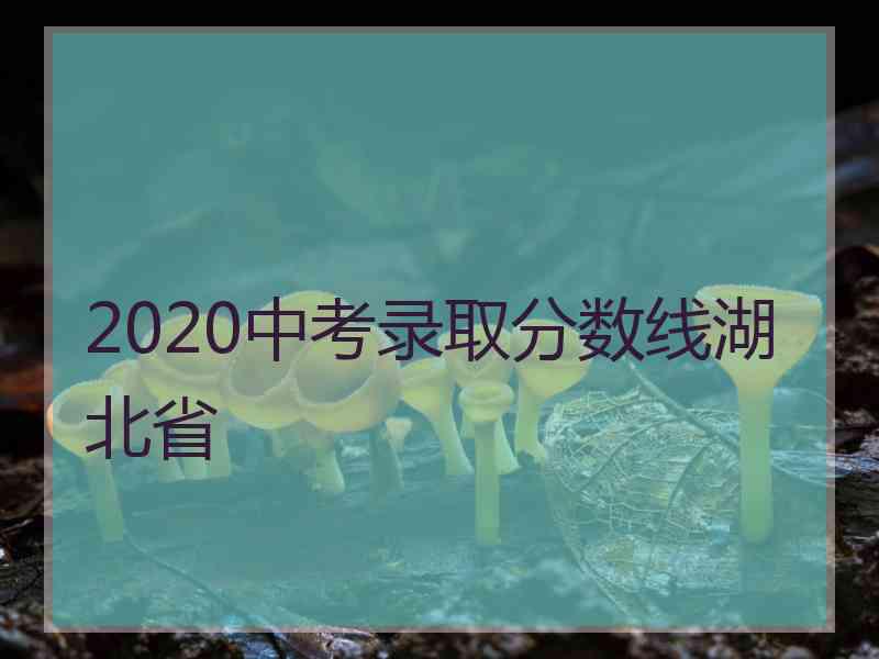 2020中考录取分数线湖北省