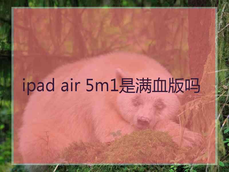 ipad air 5m1是满血版吗