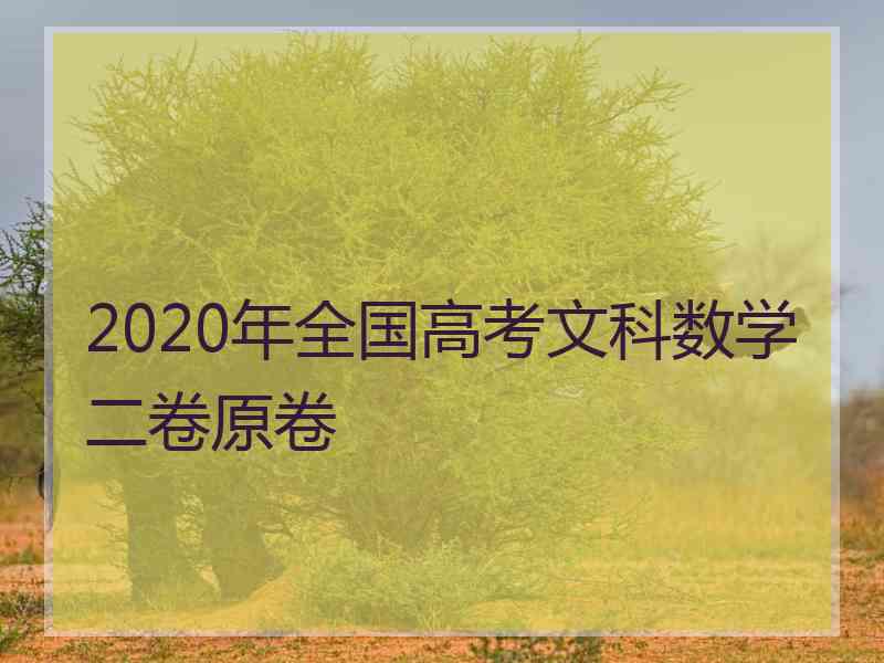 2020年全国高考文科数学二卷原卷