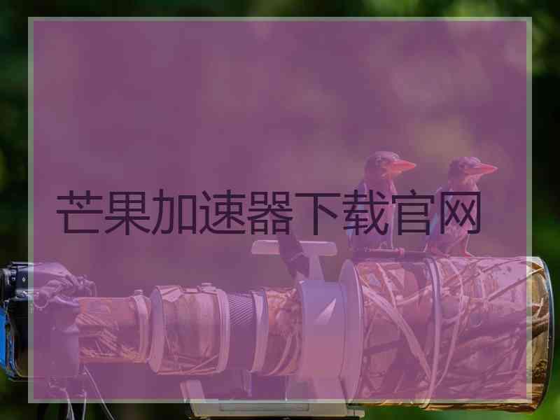 芒果加速器下载官网