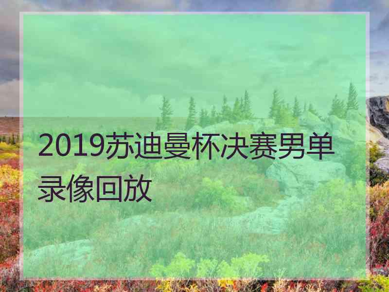 2019苏迪曼杯决赛男单录像回放