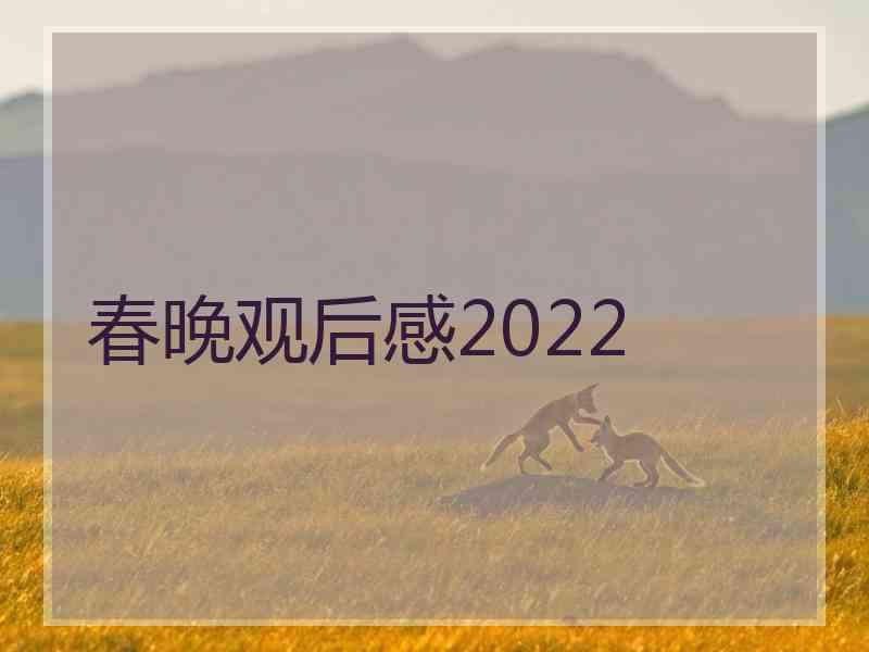 春晚观后感2022