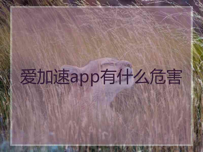 爱加速app有什么危害