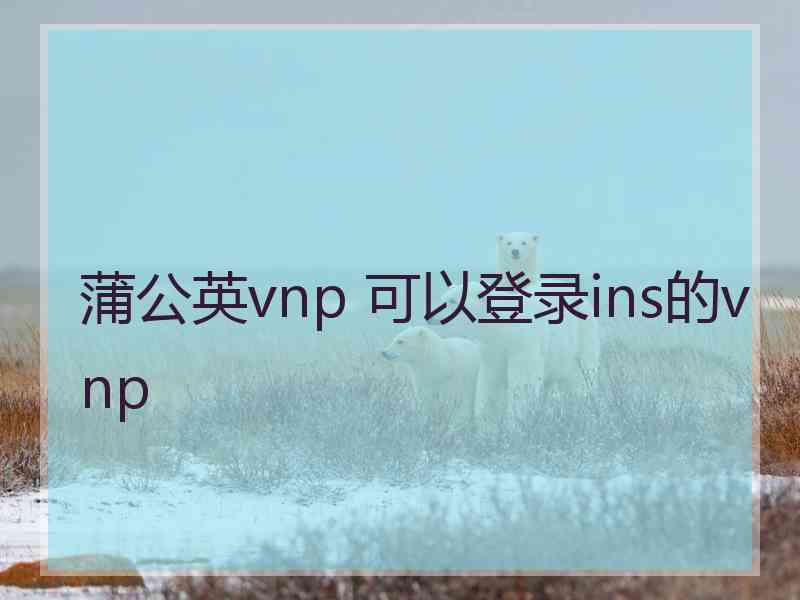 蒲公英vnp 可以登录ins的vnp